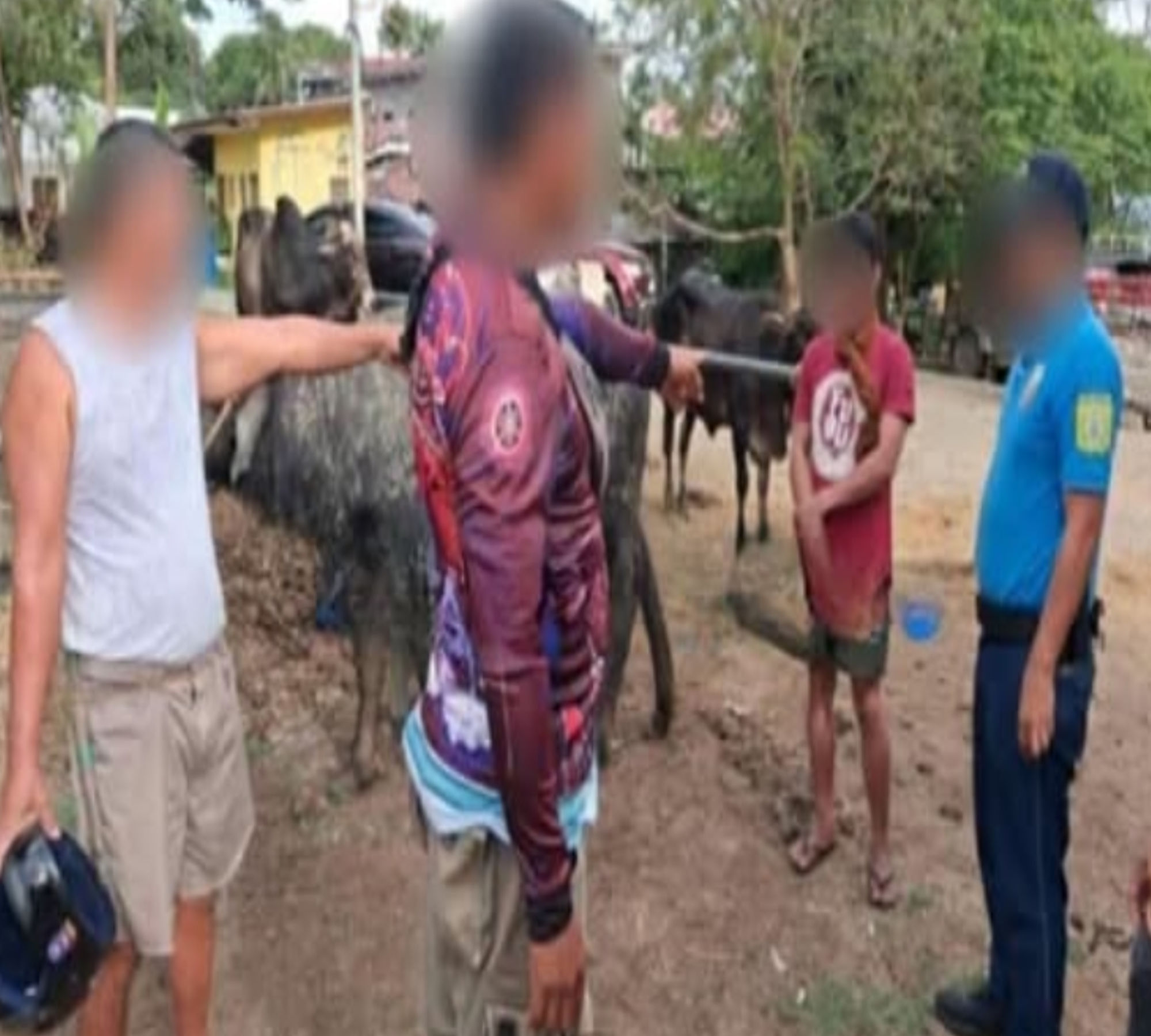 Man arrested for buffalo theft in Quezon — Can rural communities ever fully prevent livestock theft?